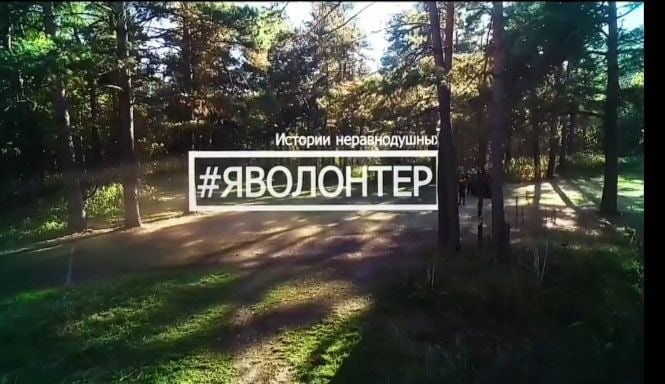 День Волонтёра.